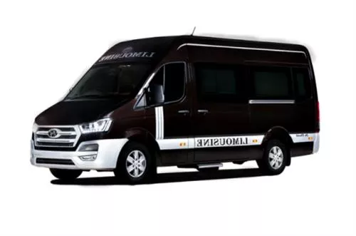 Limousine rental from Saigon to Mui Ne